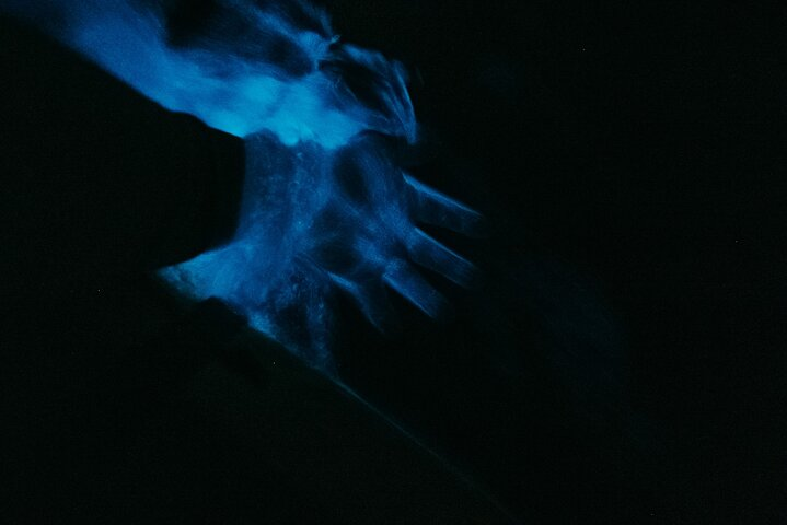 Wildlife Refuge Bioluminescent Kayak or Paddleboard Tour! - Photo 1 of 25